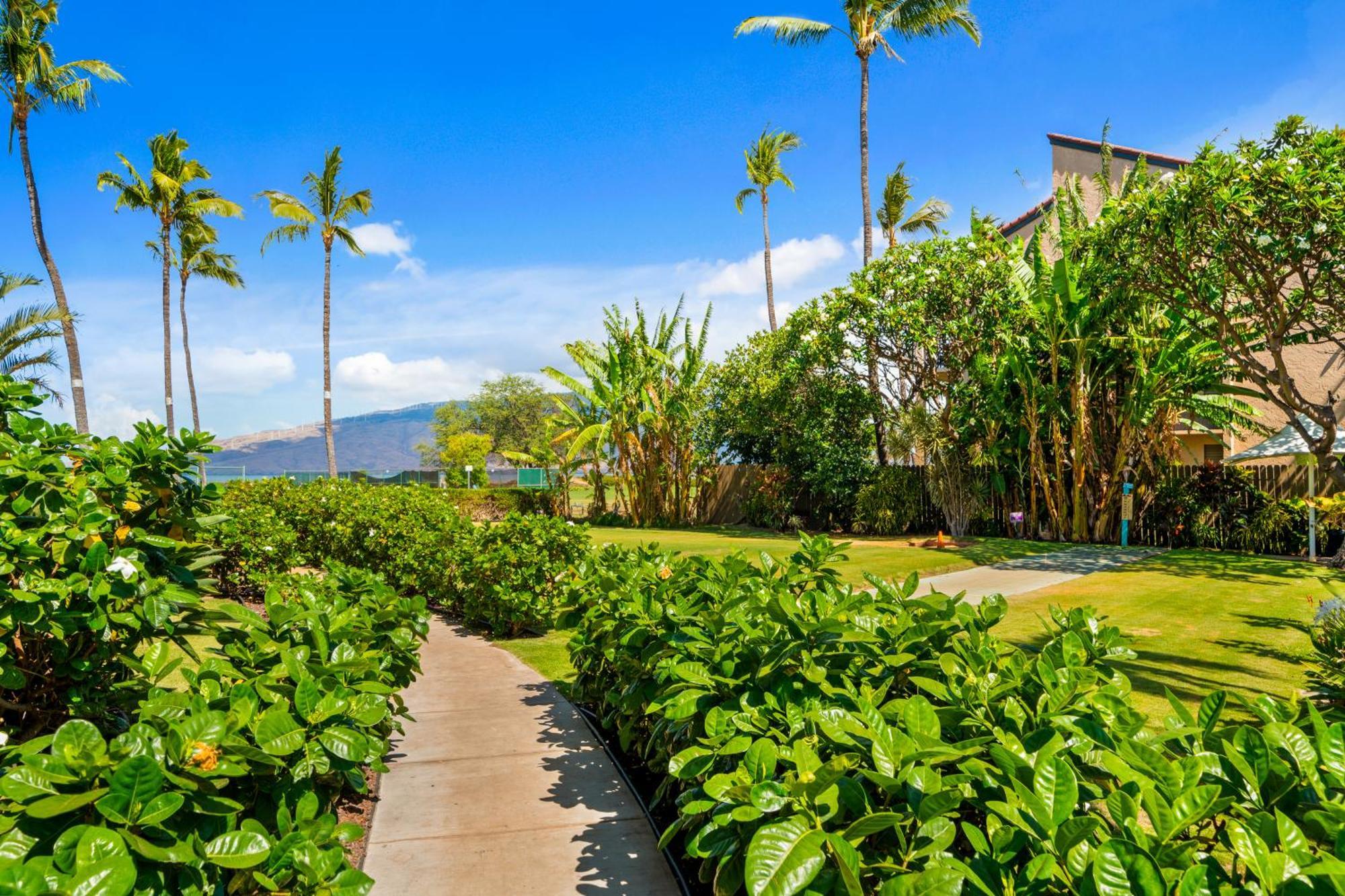 Maui Schooner Resort Kihei Ngoại thất bức ảnh